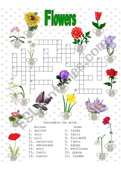 fall flower crossword|More.